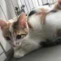 ❤️皆さまありがとうございました