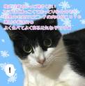 1、、、推定3歳白黒の女の子です★