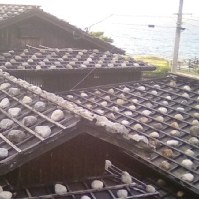 Rey2163のカバー写真