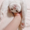甘えたい時すぐにする降参ポーズ
