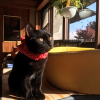 たお