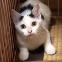 上手に甘えるえんちゃん