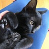 の写真