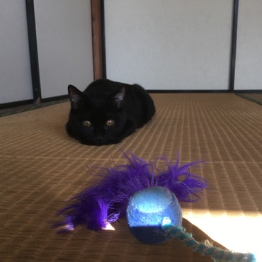 の写真