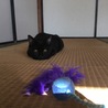 の写真
