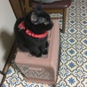 の写真