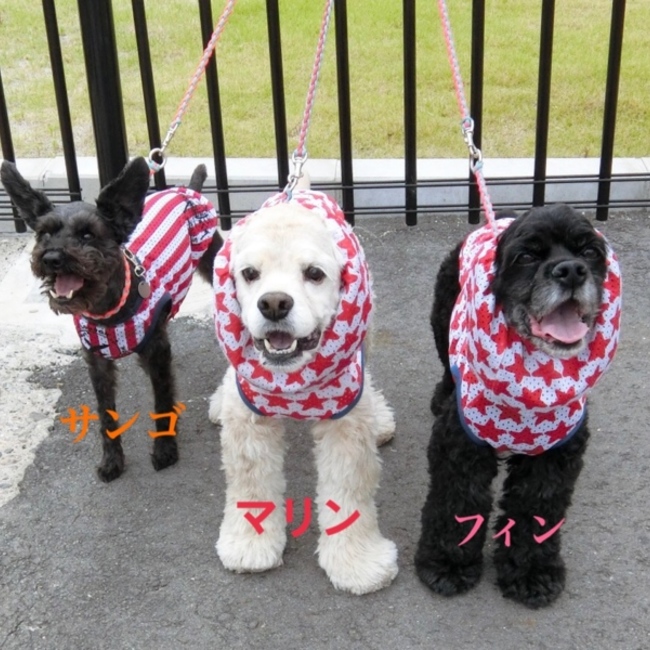 マリンかあさんのカバー写真