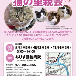 第33回　みやママ＆ちか　猫の里親会 サムネイル1