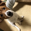 1歳おっとり男の子