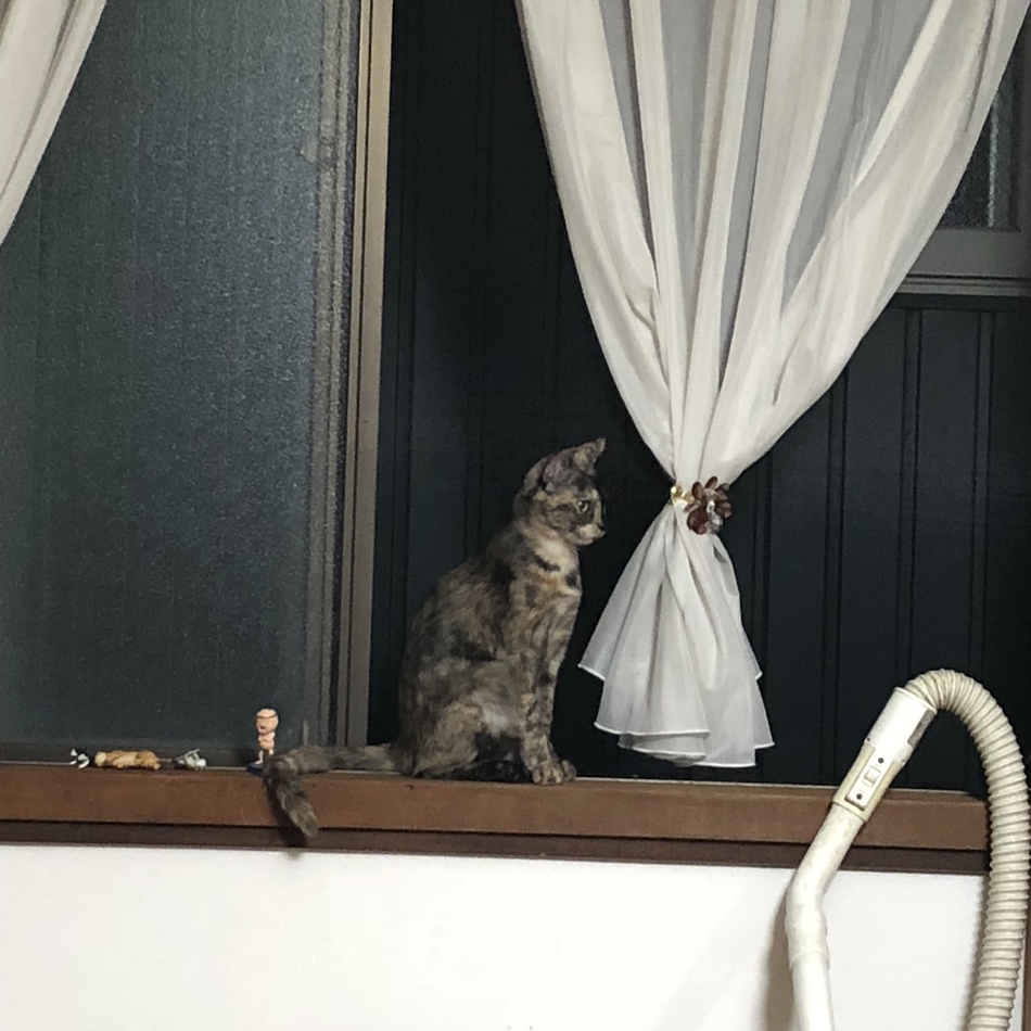 ベネのカバー写真