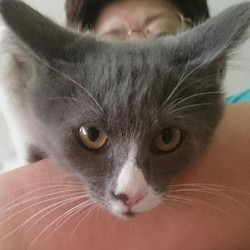 いばらきいきものねっと譲渡会inひたちのうしく サムネイル3