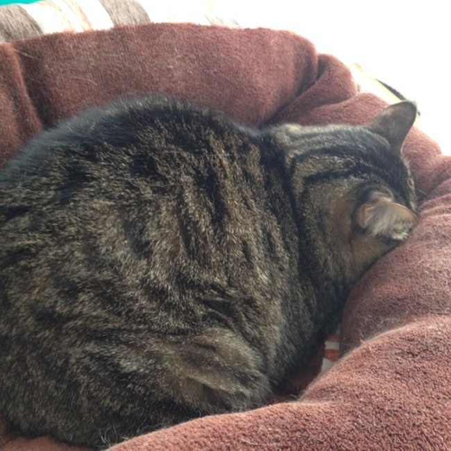 ままちゃんmariのカバー写真