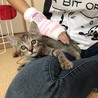 初めて自分から膝の上に