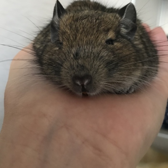 侑那のカバー写真