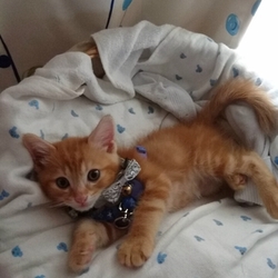 大きくなりました☆