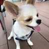 Kちゃんず
