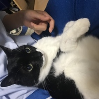 メイ