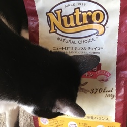 「食にこだわる猫用チキン」