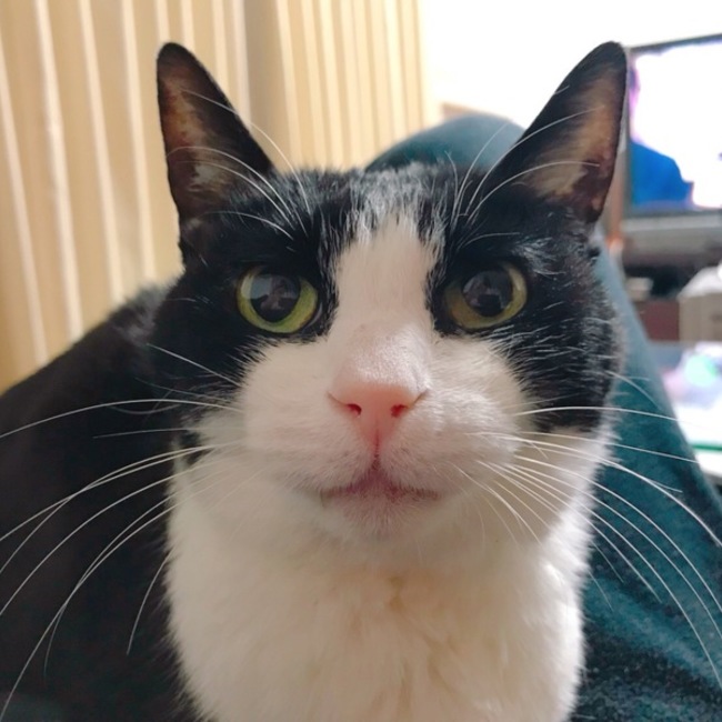 リリィ0829のカバー写真