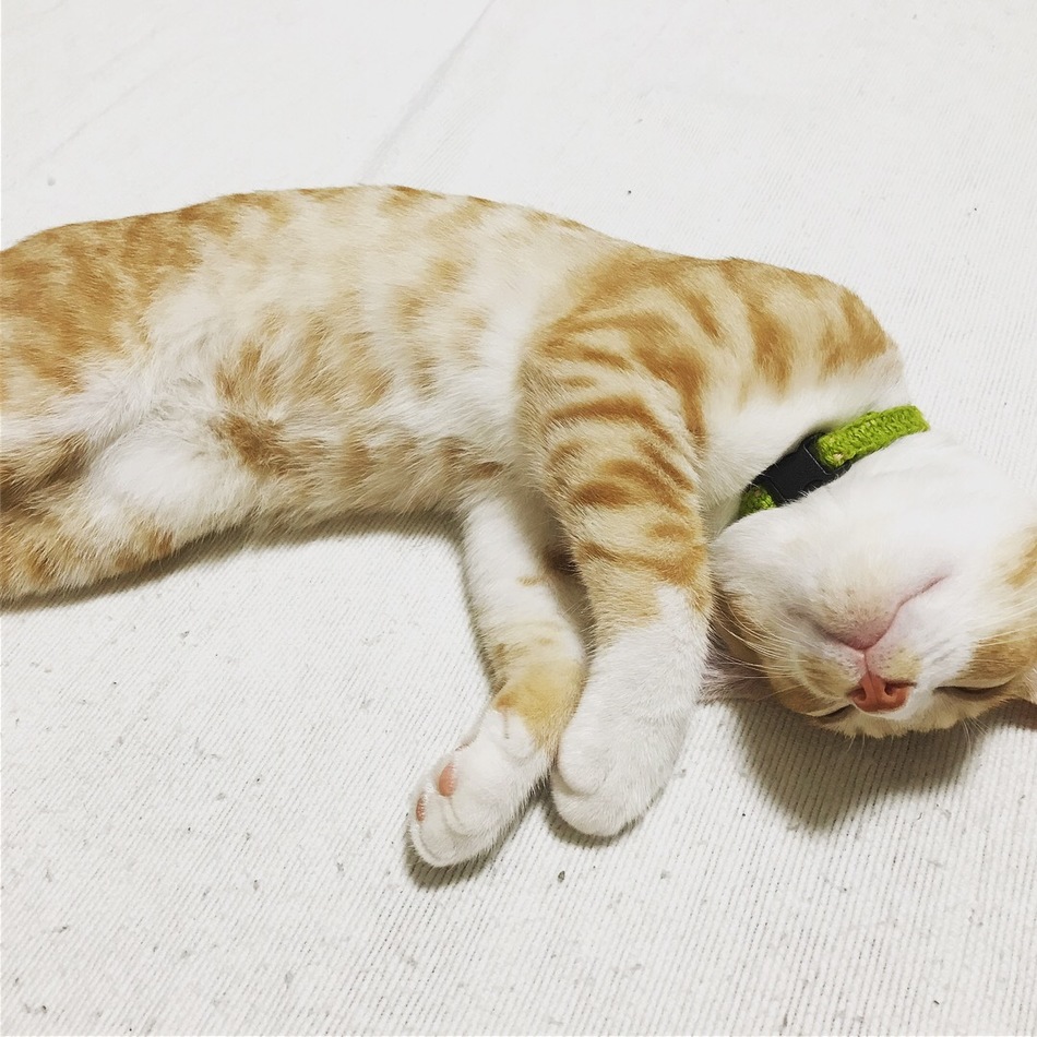 むぎのカバー写真