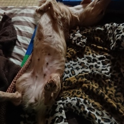 「出会ってやっと20日間。」サムネイル1