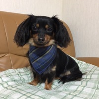 麦