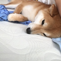 十四郎