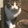  さん