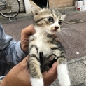茶つみちゃん♡
