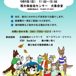 犬猫譲渡会