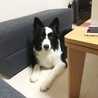 うに