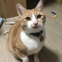 みー