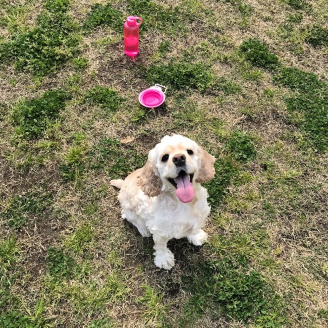 Coconut116のカバー写真