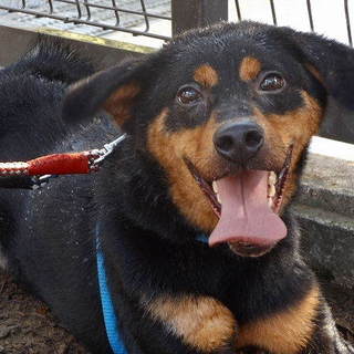 フレンドリーで甘えっ子 むぅくん