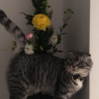 のあ くん
