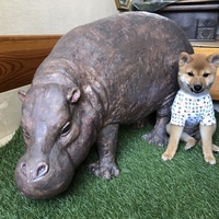 まる。
