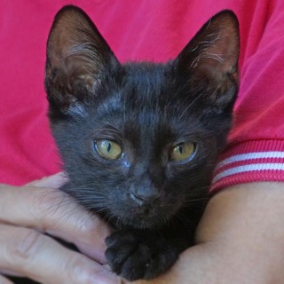 陽気だよ！ぬー坊。