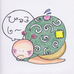 「カンちゃん２世」孵化から2ヶ月(8/28)