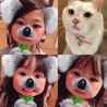 えりっちょ☆