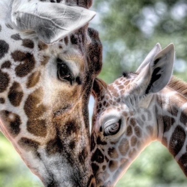 kirin416 のカバー写真