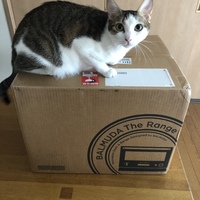 いくら