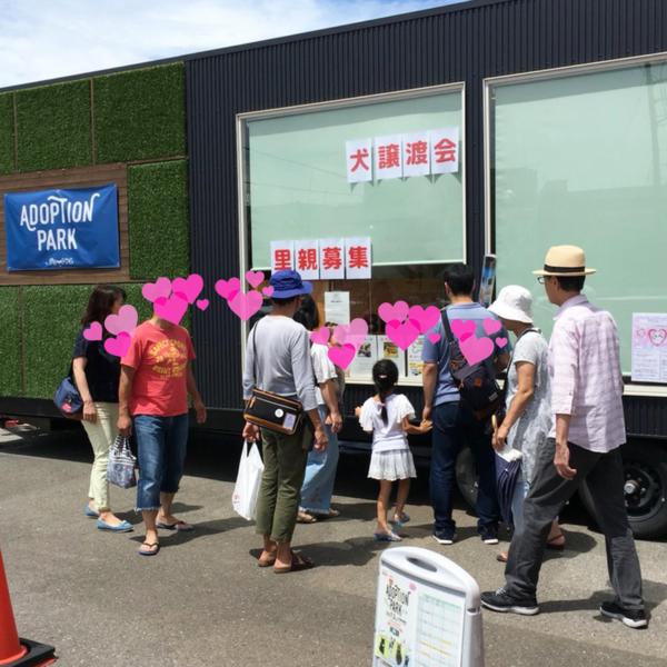 トレーラーハウス譲渡会 Fairsupportteam Forわんdogのイベント 5250 ペットのおうち 月間利用者150万人