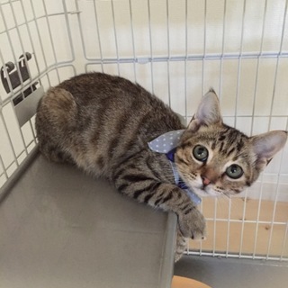 性格抜群♡超甘えん坊のスリゴロ男子