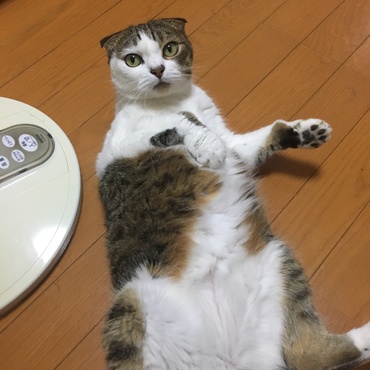 の写真