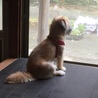 この場所大好き！