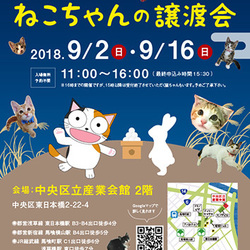 ねこざんまい譲渡会@東日本橋