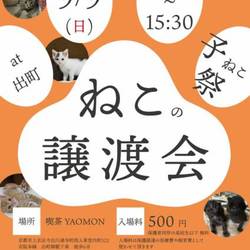 猫の譲渡会@出町商店街 サムネイル1