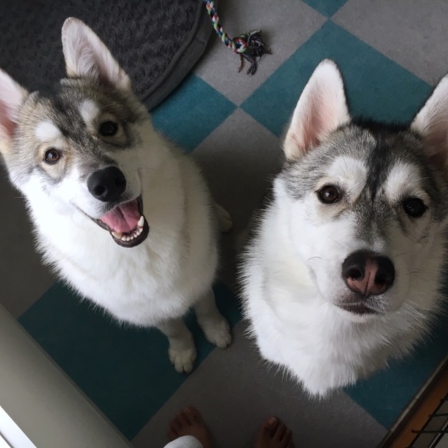 のんぞみのカバー写真