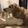 重ーいの