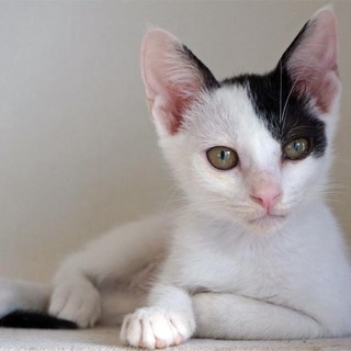 ホントはヤンチャ？ぬん太。